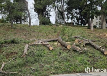 MOSTAR Studentski centar uređuje park-šumu, a što je s njegovim proširenjem?