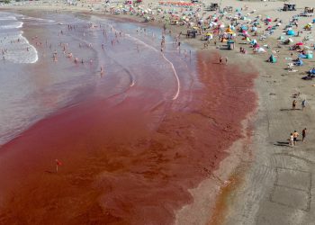 More je crveno! Istraživači otkrivaju otkriće koje bi moglo pomoći prognoziranju opasnih cvjetanja algi