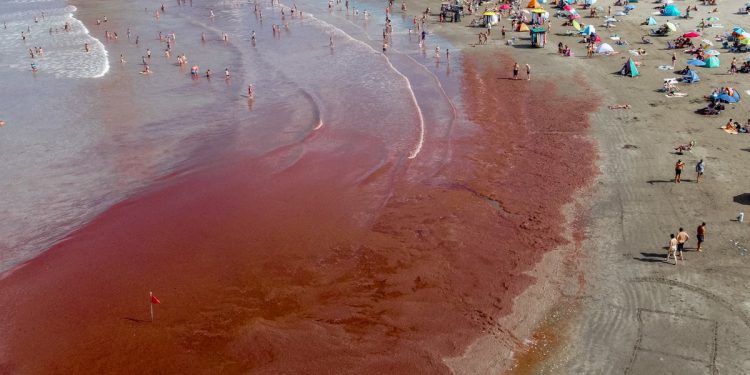 More je crveno! Istraživači otkrivaju otkriće koje bi moglo pomoći prognoziranju opasnih cvjetanja algi