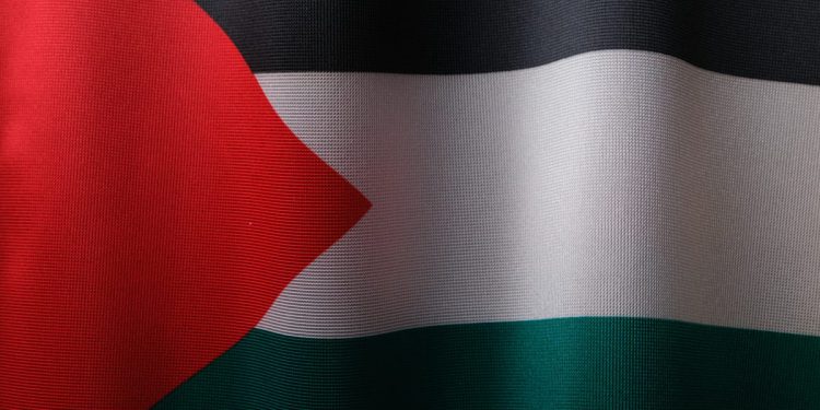 NA NOĆNOM MARŠU Prorektor riječkog Sveučilišta priveden zbog nošenja palestinske zastave