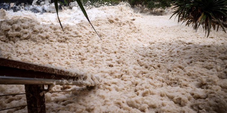 Najnovija ažuriranja Cyclone Alfred: Australske države Brace za zemljište kao tijelo koje se nalazi u potrazi za nestalim muškarcem