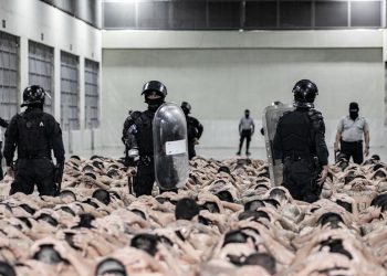 Napadači Tesle mogli bi se suočiti s El Salvador Mega Zatvor – Trump – RT World News