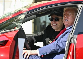 Napori Donalda Trumpa da pomognu Elonu Musku i Teslinu, mogli bi ga naštetiti
