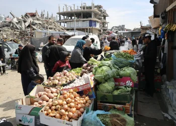 Nova studija izaziva pripovijest da je Izrael namjerno izazvao gladovanje u Gazi