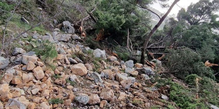 OPREZ Odron na Biokovu rušio borove i zatrpao dvije planinarske staze