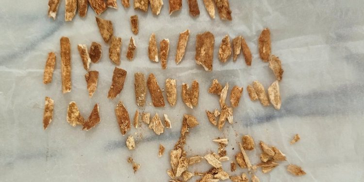 Ostaci neandertalca i ljudskog „depedo djeteta“ iz Lagara Velhoa datiraju 28.000 godina