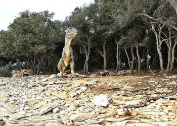 Otisci dinosaura oživljeni na Brijunima