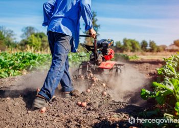 POLJOPRIVREDA U BiH Cijene voća i žitarica rastu, krumpir i stočna hrana u padu
