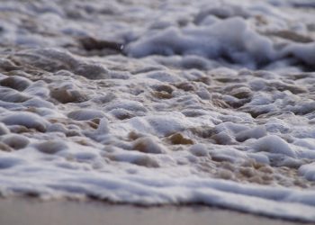 Poput doge -a, XRP Going Vertikal dobar je pokazatelj tržišne flote, BTC Cijene vrhove