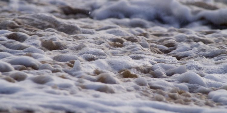 Poput doge -a, XRP Going Vertikal dobar je pokazatelj tržišne flote, BTC Cijene vrhove