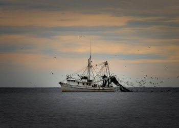 Povijesnom obrambenom sporazumu EU i Velike Britanije na put stale – ribe?!