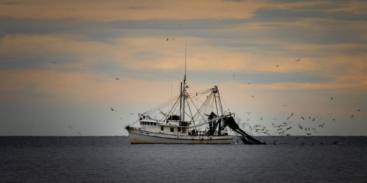 Povijesnom obrambenom sporazumu EU i Velike Britanije na put stale – ribe?!