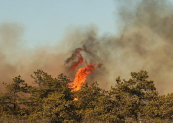 Požari s četkicama na Long Islandu uzrokovali su stanovnik koji pokušava napraviti s’mores