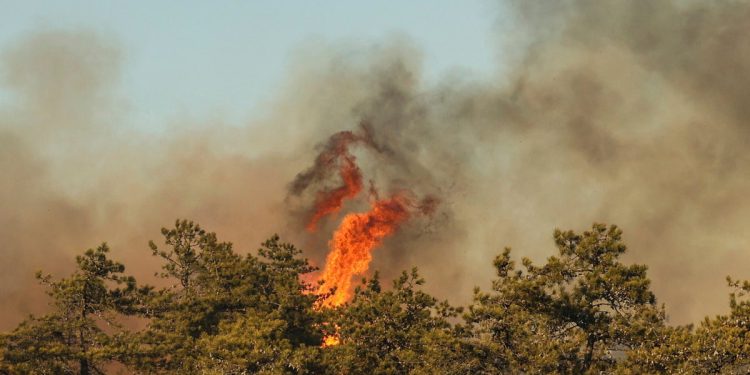 Požari s četkicama na Long Islandu uzrokovali su stanovnik koji pokušava napraviti s’mores