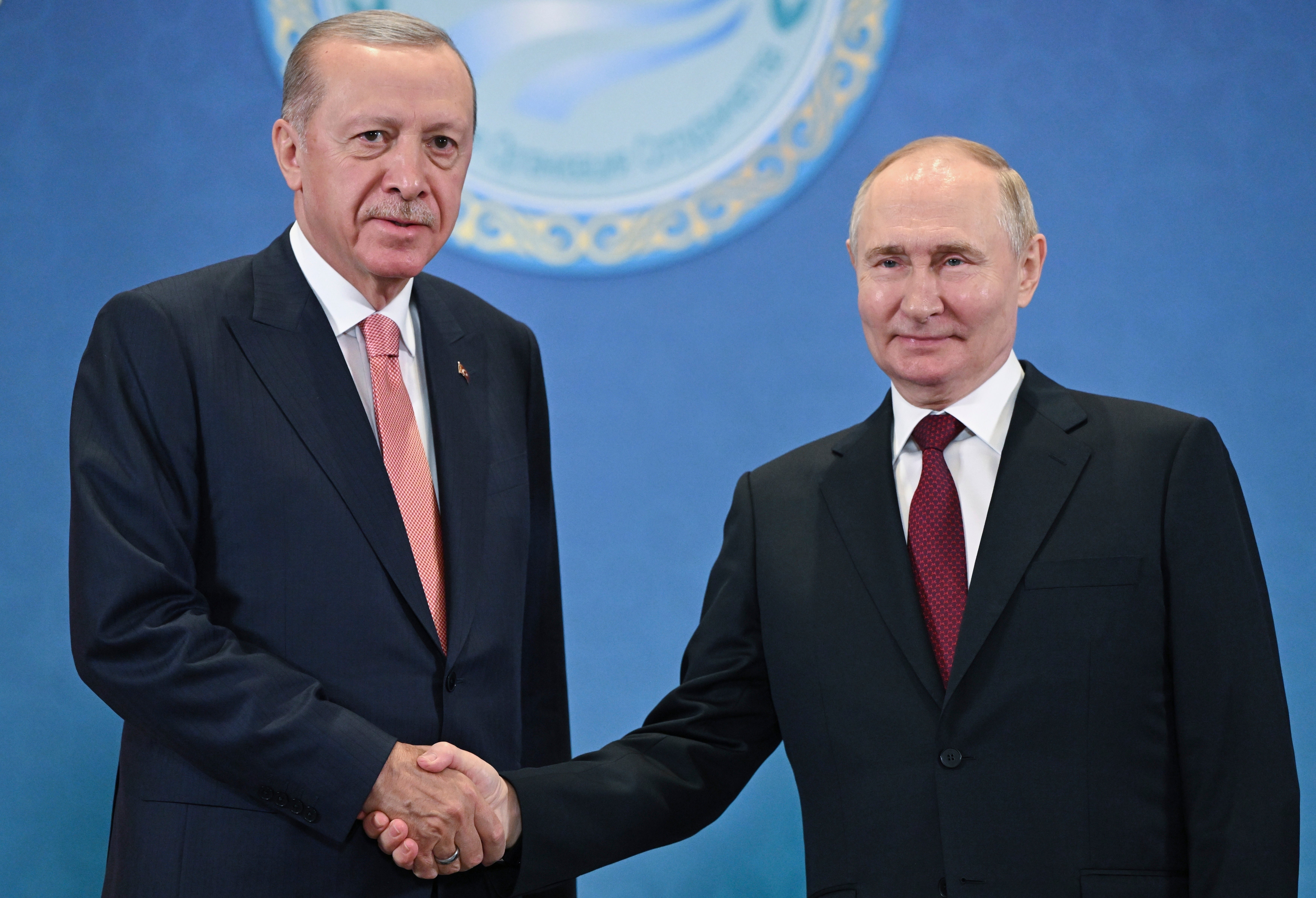 Turski predsjednik Recep Tayyip Erdogan želi biti poput Vladimira Putina, tvrde prosvjednici