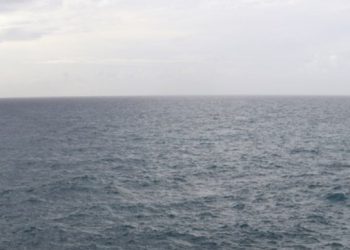 Raspisan natječaj za provedbu mjera potpora stvaranju i promicanju dodanih vrijednosti i plasmanu proizvoda ribarstva i marikulture