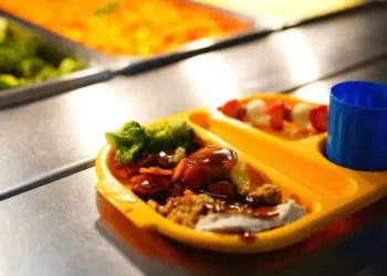 Roditelji plaćaju punu cijenu vrtića, ali obroke nose od kuće – hoće li Mostar pomoći?