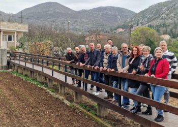 Rotary klub Dubrovnik podijelio 500 sadnica maslina
