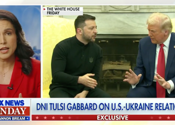 Sastanak napetosti Trump-Zelenskyy izlaže europsku ‘odstupanju’ od zaštite slobode i mira: DNI Gabbard