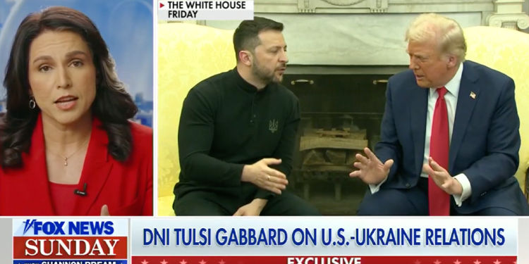 Sastanak napetosti Trump-Zelenskyy izlaže europsku ‘odstupanju’ od zaštite slobode i mira: DNI Gabbard