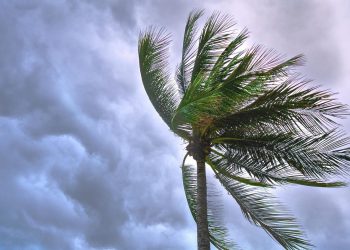 Snažna oluja pogodila Australiju, stotine tisuća ljudi bez struje