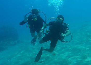 Solanov sol skliznuo je ispod ključne razine cijena prvi put u 3 godine