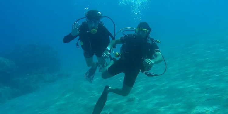 Solanov sol skliznuo je ispod ključne razine cijena prvi put u 3 godine