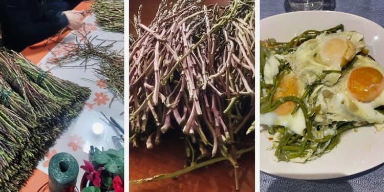 Šparoge su vitaminska bomba zdravlja, a postaju i cjenovna bomba: Evo koliko ćete platiti mac na splitskom Pazaru