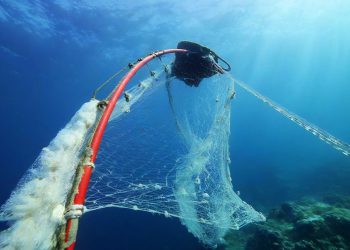 Sportski ribolovac o novom Pravilniku: “Pa nas ne zanima riba koja propada kroz gradele, ribe nema zbog koćara i plivaričara
