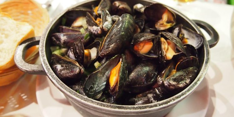 Što nam otkrivaju med, dagnje i žuti brašnar?