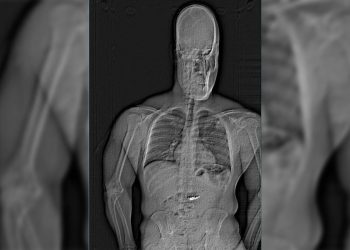 Thief se pozirao kao rep Orlando Magic Player kako bi ukrao nakit Tiffany vrijedan 750 tisuća dolara – a zatim ga pojeo, kažu policija