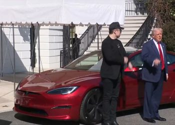 Trump transformira travnjak Bijele kuće u Teslinu izložbenu sobu kako bi podržao Musk | Vijesti