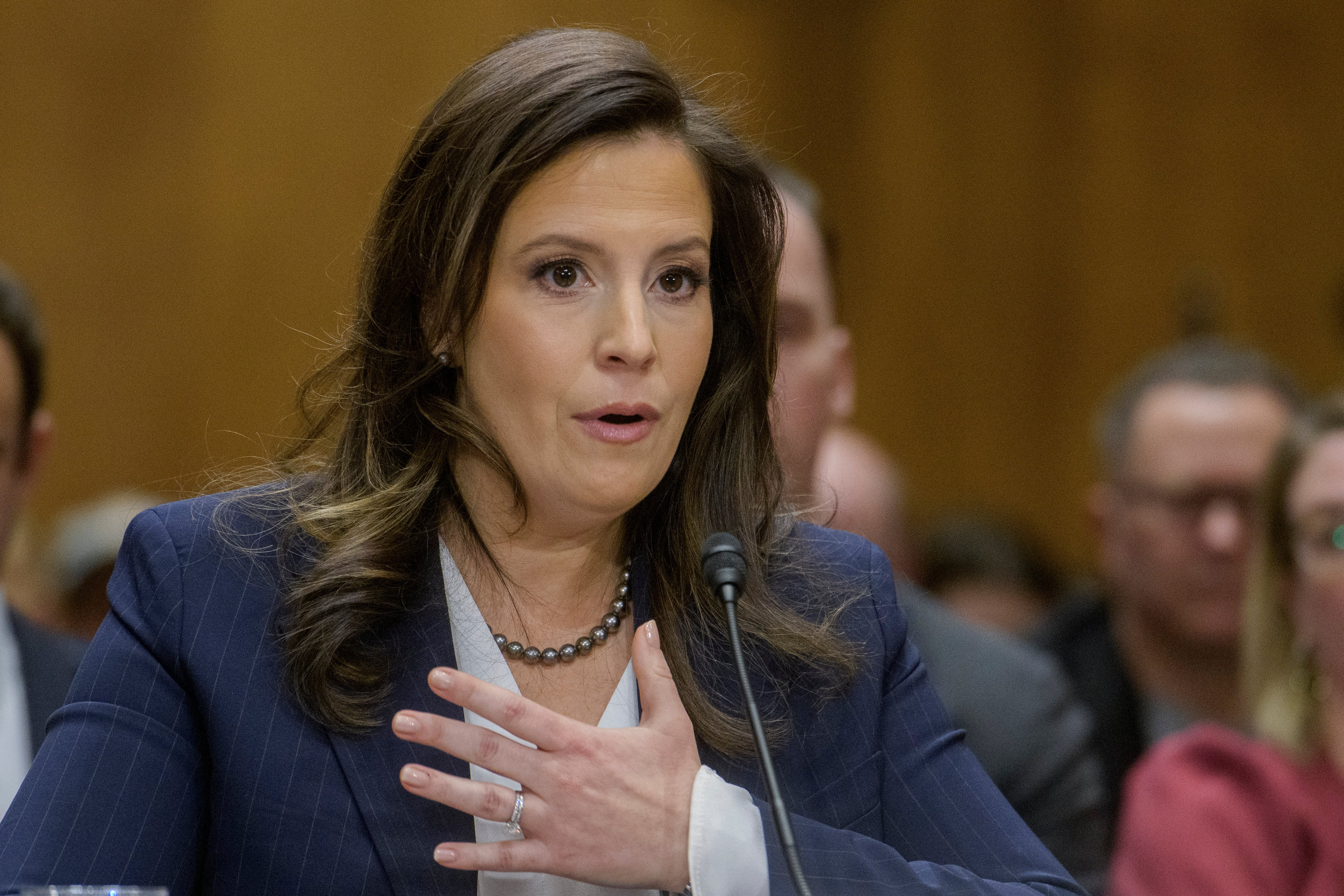 Veleposlanik Elise Stefanik svjedoči početkom ove godine na brdu Capitol tijekom saslušanja Senata za saslušanje o vanjskim odnosima o tome što bi trebala biti njezina čekanja na čekanju da bude američki veleposlanik Ujedinjenih naroda
