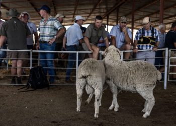 Trumpov administrator spreman dočekati neke Južnoafričane prijeteće nasiljem