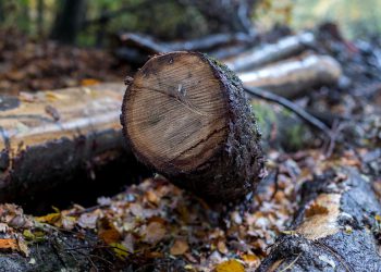 U Federaciji BiH od početka godine otkaze dobilo 15.000 radnika, ključan razlog je povećanje minimalne plaće