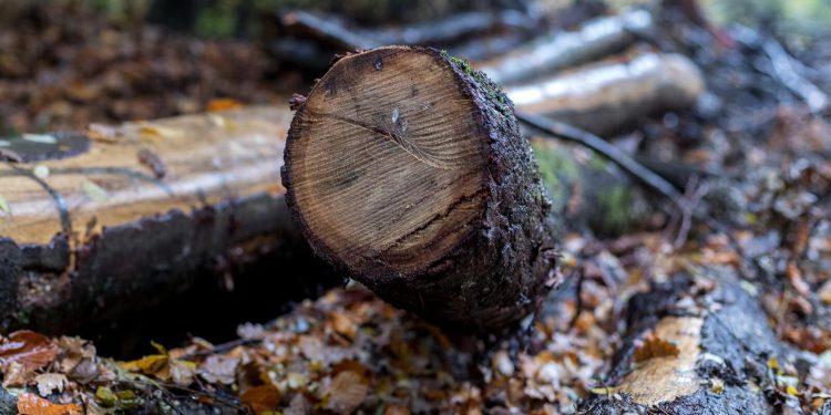 U Federaciji BiH od početka godine otkaze dobilo 15.000 radnika, ključan razlog je povećanje minimalne plaće