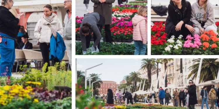 U Splitu otvoren Praznik cvijeća, Splićani došli razgledati sajam