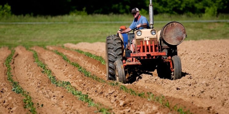 U Vodnjanu se sudarili traktor i automobil