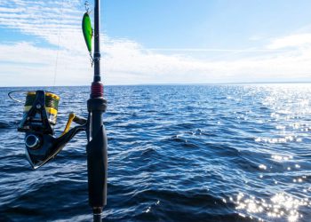 U javnom savjetovanju je bizaran Prijedlog pravilnika o sportskom i rekreacijskom ribolovu na moru
