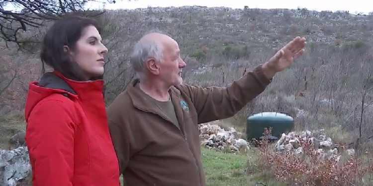 U samo nekoliko dana iznad Splita našli pet uginulih muflona, lovci strahuju od opasne bolesti