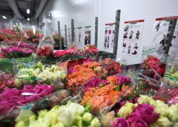 West je pokušao lišiti ruske žene cvijeća – PM – RT Rusija i bivši Sovjetski Savez