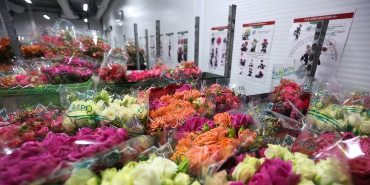 West je pokušao lišiti ruske žene cvijeća – PM – RT Rusija i bivši Sovjetski Savez