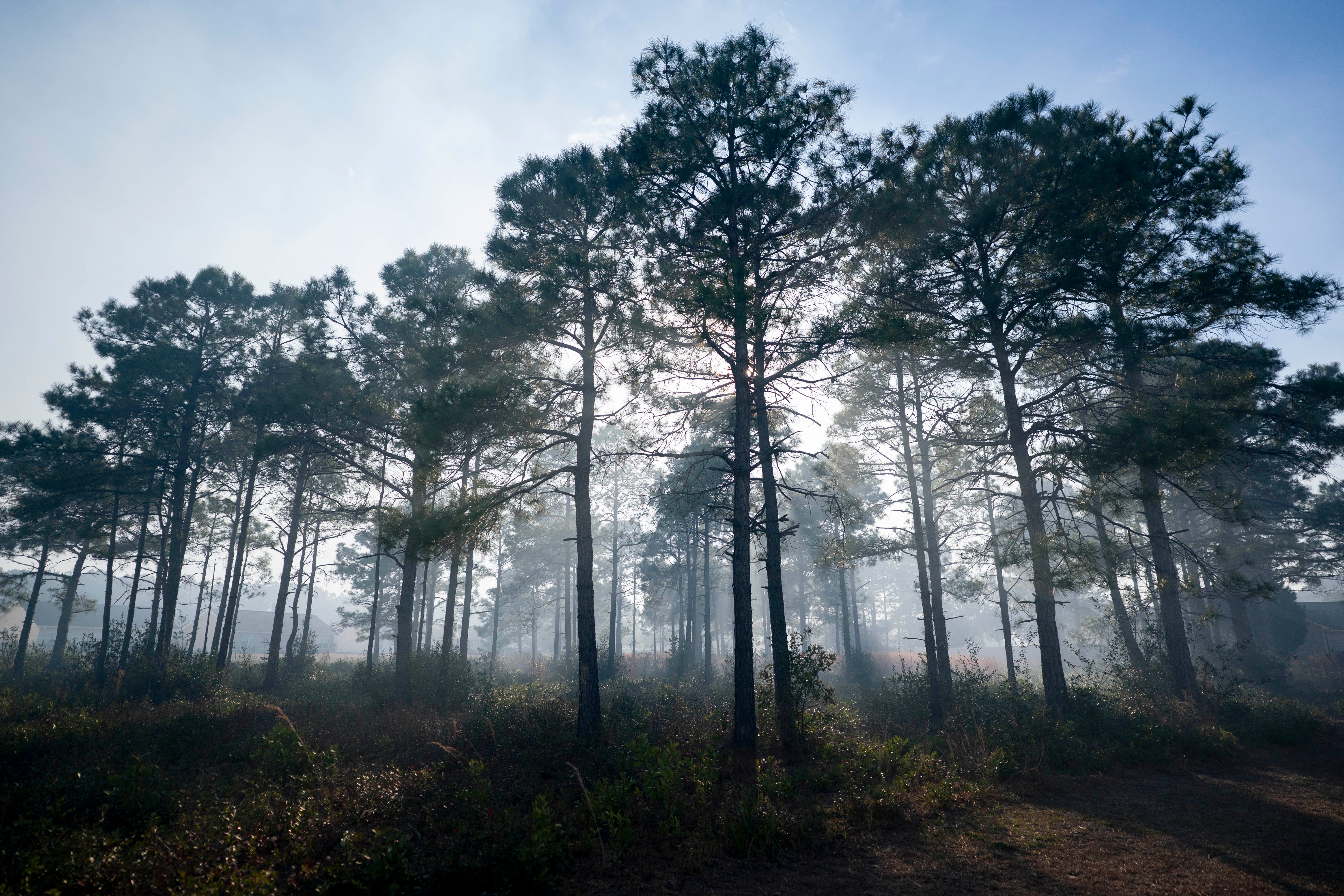 Dim visi u zraku u susjedstvu Carolina Forest 2. ožujka 2025. u plaži Myrtle, Južna Karolina