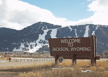 Wyoming State opremljen prema lansiranju Stablecoina u srpnju