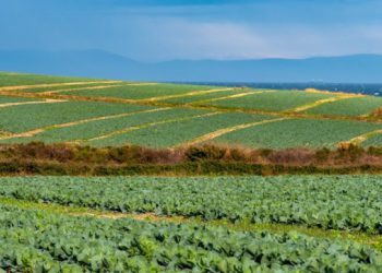 Županija raspisala Javni poziv za dodjelu malih potpora u poljoprivredi