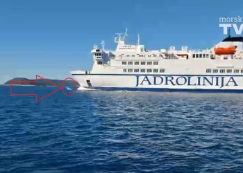 VIDEO Dupini jedva čekali isplovljavanje trajekta za Vis: "Skakali su ispred prove i puštali da ih bulb gura…"