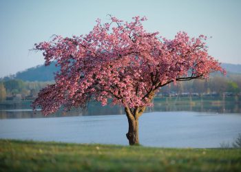 Proljeće, dobro nam došlo!