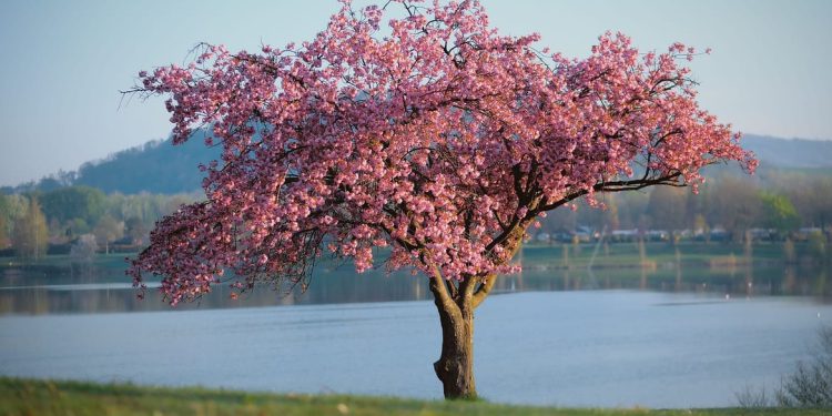 Proljeće, dobro nam došlo!