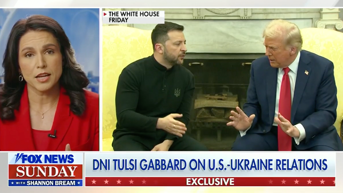 Dni Gabbard na lisici