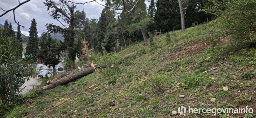 Uređenje park šume kod Studentskog centra Mostar